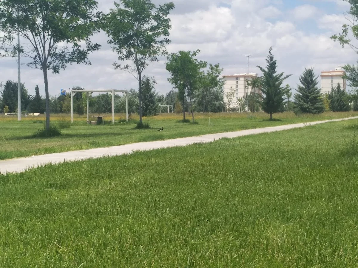 AKSARAY ÜNİVERSİTESİ Kampüs Fotoğrafı