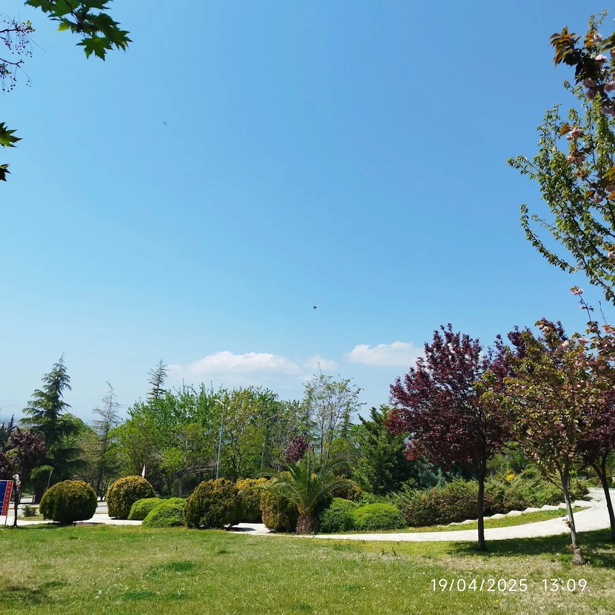 ÇANAKKALE ONSEKİZ MART ÜNİVERSİTESİ Kampüs Fotoğrafı