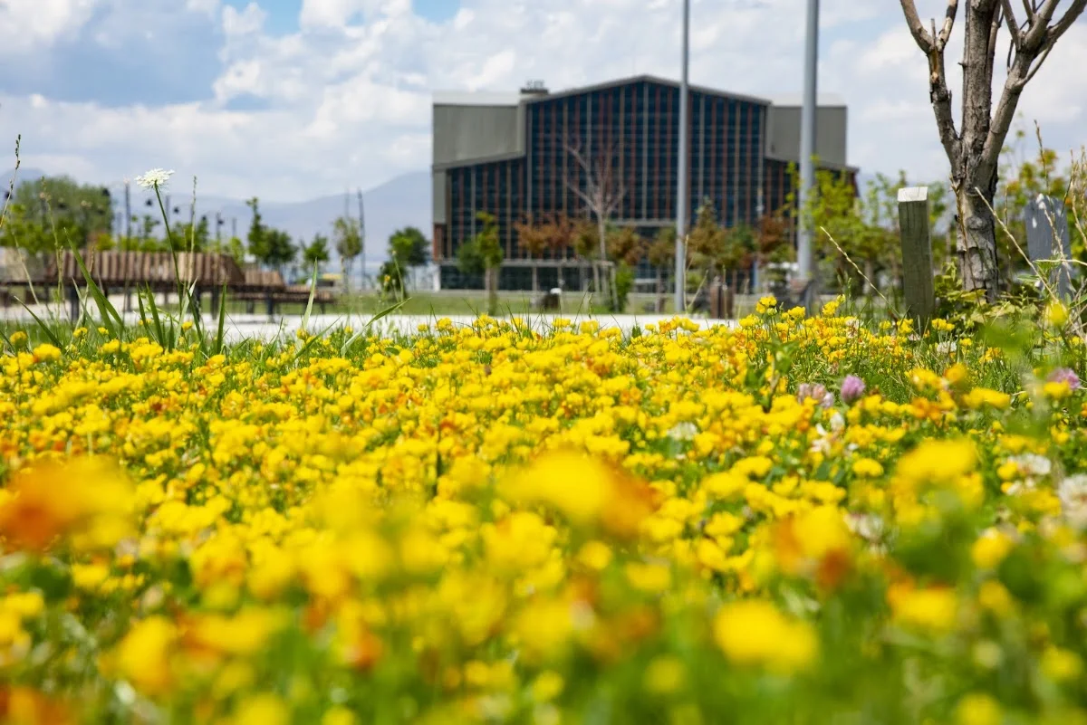 ERZURUM TEKNİK ÜNİVERSİTESİ Kampüs Fotoğrafı