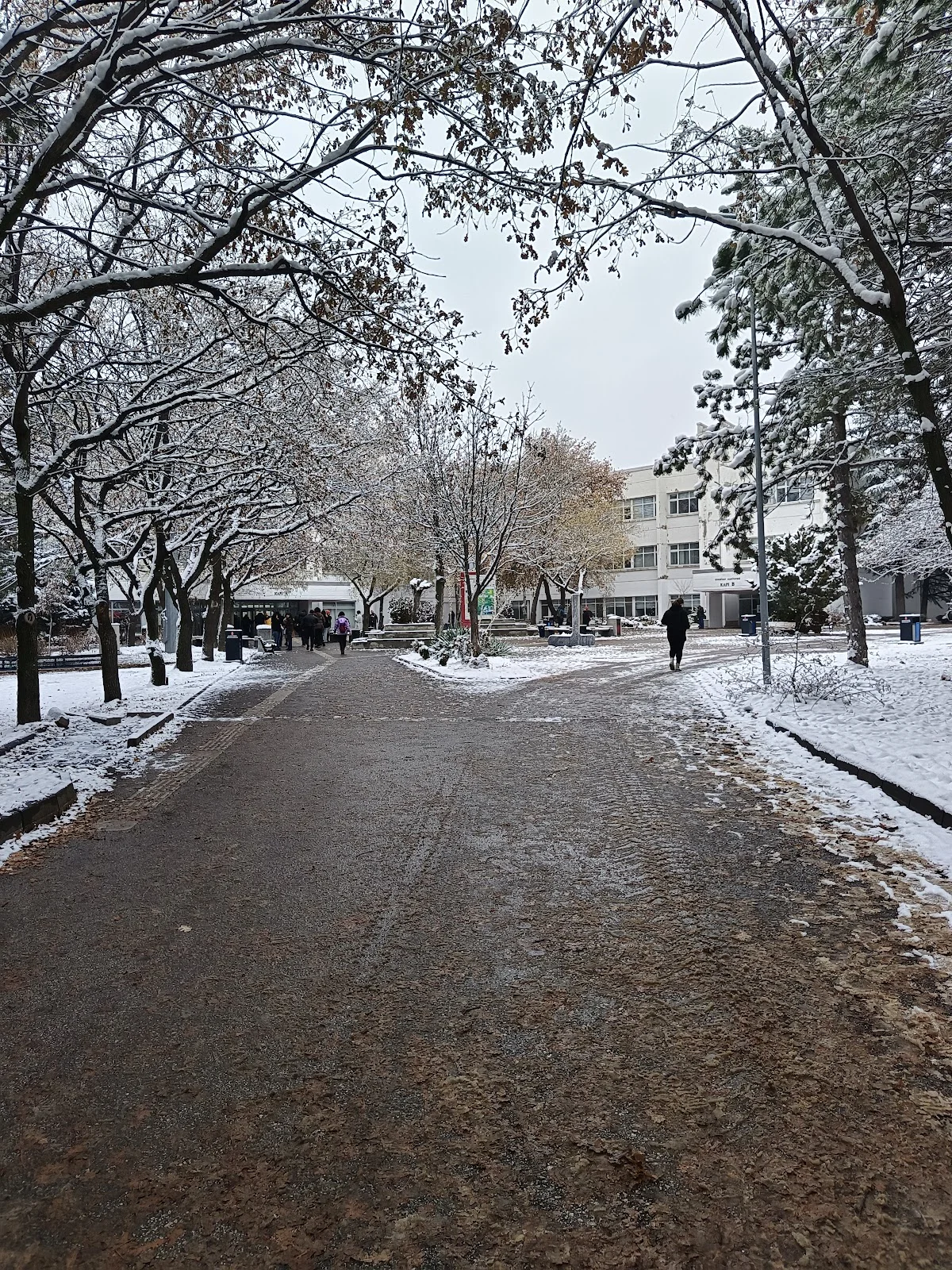 HACETTEPE ÜNİVERSİTESİ Kampüs Fotoğrafı