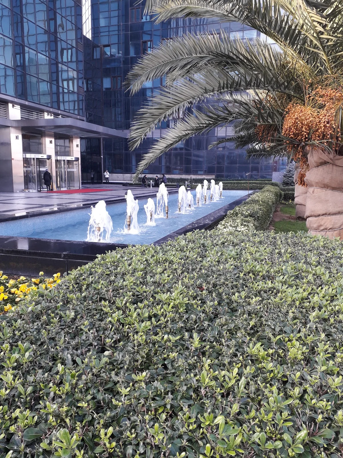 İSTANBUL ŞİŞLİ MESLEK YÜKSEKOKULU Kampüs Fotoğrafı