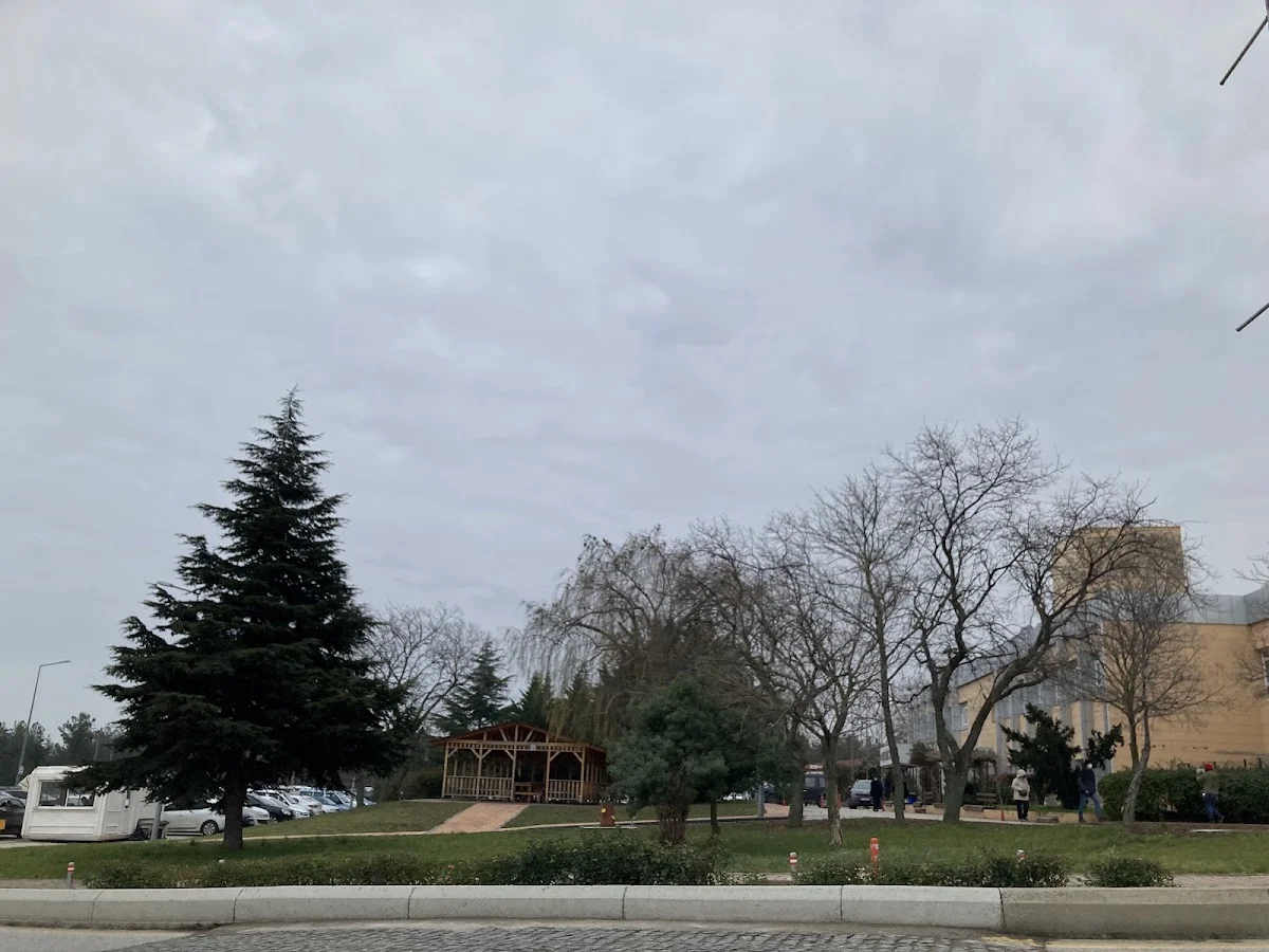 ONDOKUZ MAYIS ÜNİVERSİTESİ