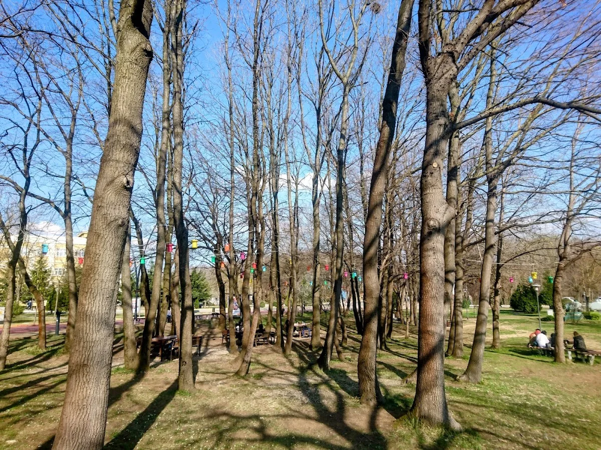SAKARYA ÜNİVERSİTESİ Kampüs Fotoğrafı