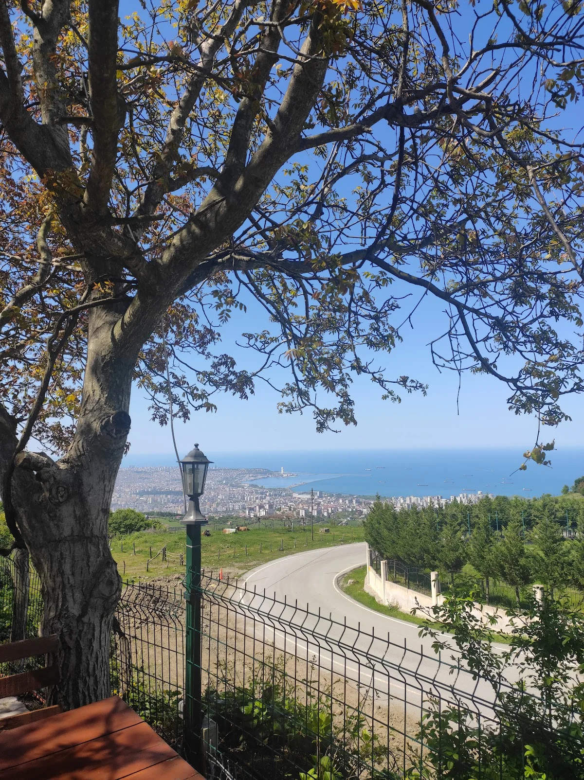 SAMSUN ÜNİVERSİTESİ Kampüs Fotoğrafı