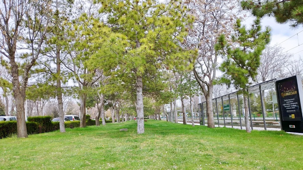 SELÇUK ÜNİVERSİTESİ Kampüs Fotoğrafı