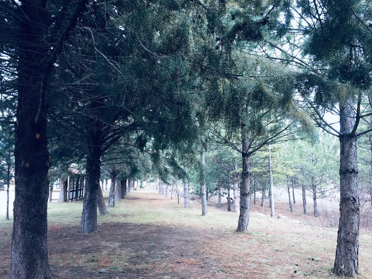 TOKAT GAZİOSMANPAŞA ÜNİVERSİTESİ Kampüs Fotoğrafı